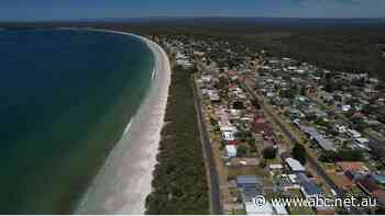 'Zombie DAs' risk bulldozing precious areas of coastal NSW for development, Greens say