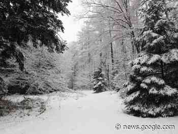 ROUSSILLON-EN-MORVAN : La neige a fait sa première offensive - Autun Infos