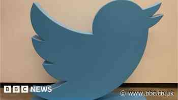 Twitter's bird statue sells for $100,000 at auction