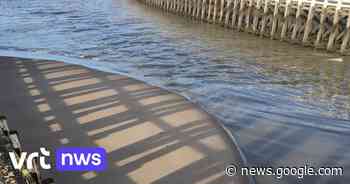 Havengeul in Blankenberge opnieuw verzand door zware regenval ... - VRT.be