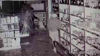 Mestre, ecco il filmato che inchioda la banda del tombino - La Nuova Venezia