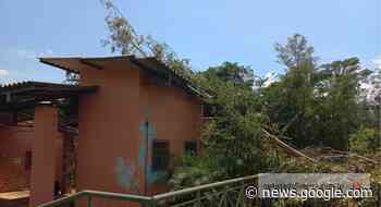 Vendaval atinge e derruba árvores no Horto Florestal, em Limeira - Notícia de Limeira