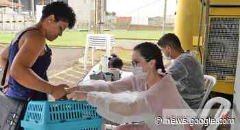 Castra + Limeira realiza mais 304 castrações somente no final de ... - Notícia de Limeira