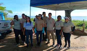 Prefeitura de Aracruz continua serviços de cata do caramujo africano - Site Aracruz