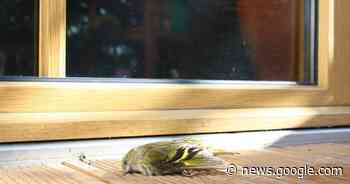 Hilpoltstein | Der gläserne Tod - Radio 8 Ansbach