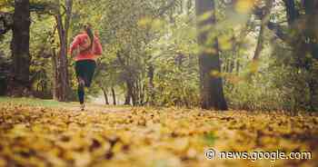 Hoboken op 4 februari decor van 'Pannenkoekenrun' | Hoboken ... - Het Laatste Nieuws