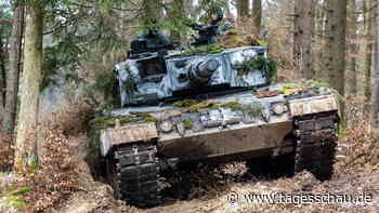 Was den "Leopard" so wertvoll macht