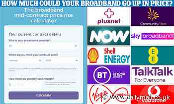 How much will YOUR broadband go up in price? Calculator shows how 14.4% price hike may affect bills