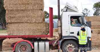 Hay delivery on the way, flooded farmers urged to register - Forbes Advocate