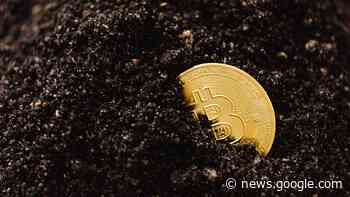 Advantages of Cryptocurrency In 2023 – Forbes Advisor INDIA - Forbes