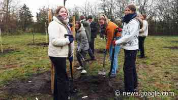 Pflanzaktion von LMG-Schülern Neue Streuobstwiese in Tornesch ... - shz.de