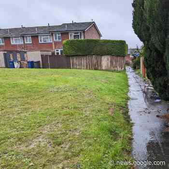 Charred body of burned dog found in residential area of Farnham ... - Haslemere Herald