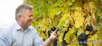So war das Weinjahr 2022: Österreich Wein Marketing zieht Bilanz