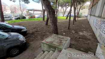 Termoli: Sindaco faccia qualcosa per questo posto - Termoli Online