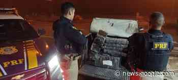 PRF apreende 375 quilos de maconha e recupera veículo, em ... - Correio do CIdadão