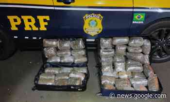 PRF apreende 23,36 quilos de Skunk, em Guarapuava – Correio do ... - Correio do CIdadão