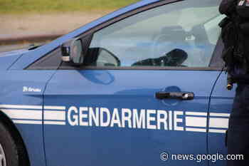 Braquage et vol : deux affaires élucidées par les gendarmes de Dinan - Le Réveil Normand