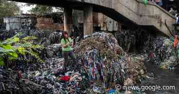 Neue Mode für die Müllhalde | SN.at - Salzburger Nachrichten