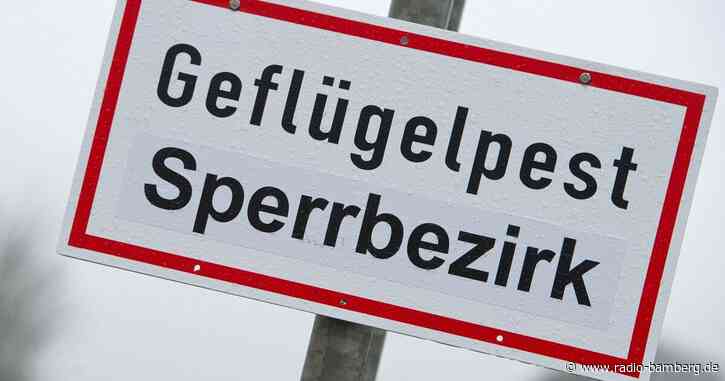 Vogelgrippe in Schwandorf: Vorgaben für angrenzende Kreise