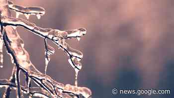 Weather warning in effect for Mississauga, Brampton, Burlington ... - insauga.com