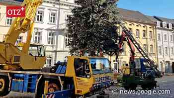 Weihnachtsbäume stehen in Schleiz und Bad Lobenstein - Ostthüringer Zeitung