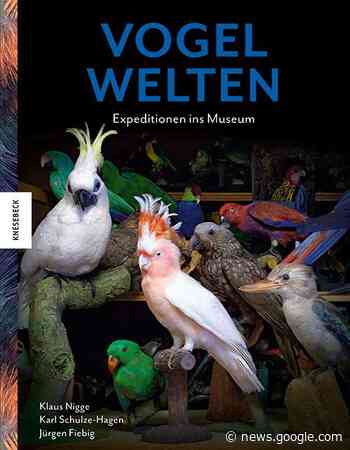 Buchkritik zu »Vogelwelten« - Spektrum.de