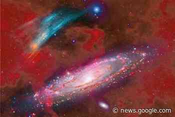 Bärensteiner verblüfft Wissenschaft mit sensationeller Entdeckung - freiepresse.de