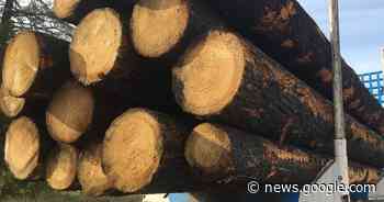 Paper shortage pressures school stationery - Western Advocate