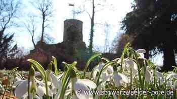 Saisonstart im April: Stadt sucht noch Wirte für  die Burgruine Hohennagold