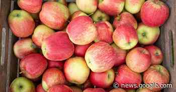 Hilden, Haan: Polizei warnt vor Betrug mit Obst und Gemüse - Rheinische Post