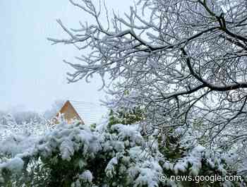 Winterzeit - kalte Zeit: So muss Winter sein - schneeweiß - http://meine.stimme.de/