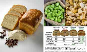 Britain should eat bread made with BROAD BEANS because it's more sustainable, scientists say 