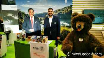 Tourismusentwicklung : So präsentiert sich die Stadt Giengen auf ... - Heidenheimer Zeitung