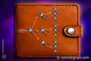 What are hierarchical deterministic (HD) crypto wallets?