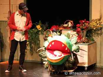 Cappies: All Saints cast presents high quality, memorable performance of Little Shop of Horrors