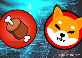 Shiba Inu’s BONE Bags New Listing As Token Surges 14% In 7 days