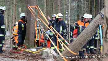 Folgenschwerer Arbeitsunfall bei Reichertsheim: Mann unter gefälltem Baum eingeklemmt