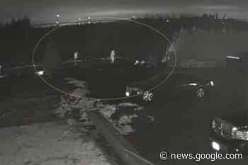 Police say Abbotsford business owner not helping with fatal hit-and ... - Hope Standard