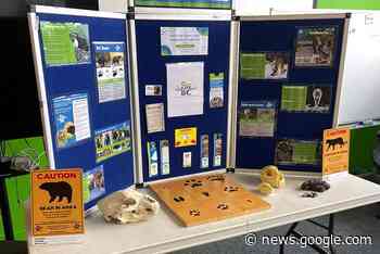 Abbotsford Schools Can Book WildSafeBC Program To Learn About ... - Abbotsford News