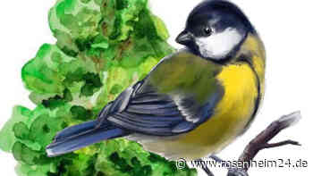 Die Wildvogelhilfe Roßhart e.V.