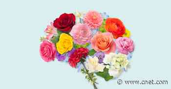 Want to Be Happier in 2023? Start Using These 7 Daily Habits     - CNET