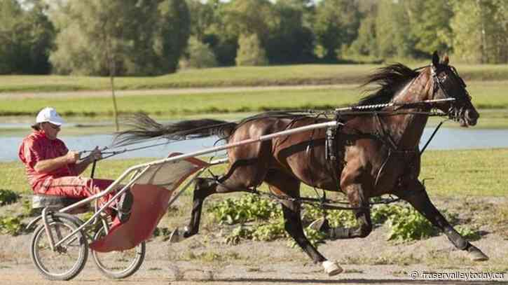 World-record holder Bulldog Hanover captures 2022 Cam Fella Award