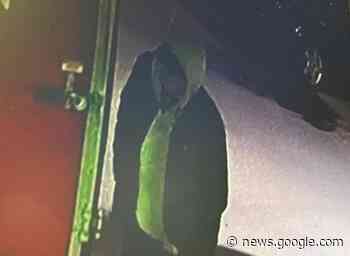 POLICE: Power tools worth $7,000 stolen from trailer | Kingston ... - Kingston This Week