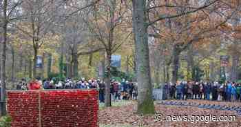 Thomas Brenner setzt Kunstaktion auf Friedhof fort - Kaiserslautern - Rheinpfalz.de