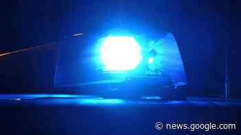 Betrunken in die Hecke gefahren - Kreis Neuwied - Rhein-Zeitung