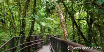 AMPLIAR SENTIDOS | Conheça a Trilha do Sentir, em Bertioga ... - sescsp.org.br
