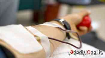 Appello dal Trasfusionale dell'ospedale Perrino: "C'è bisogno di ... - BrindisiOggi