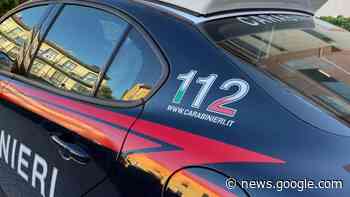 Morde un carabiniere e ne aggredisce un altro, un arresto a Prato - LA NAZIONE