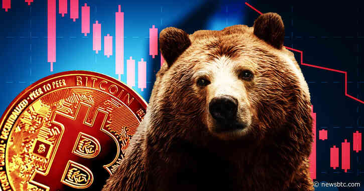 Bitcoin Might Fall Below $20,000 Before Bull Rally Resumes, Analyst Says