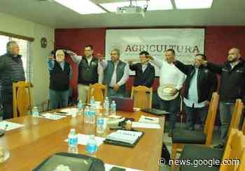 Instalaron el Consejo estatal SINIIGA-SINIDA en Baja California - Ensenada.net